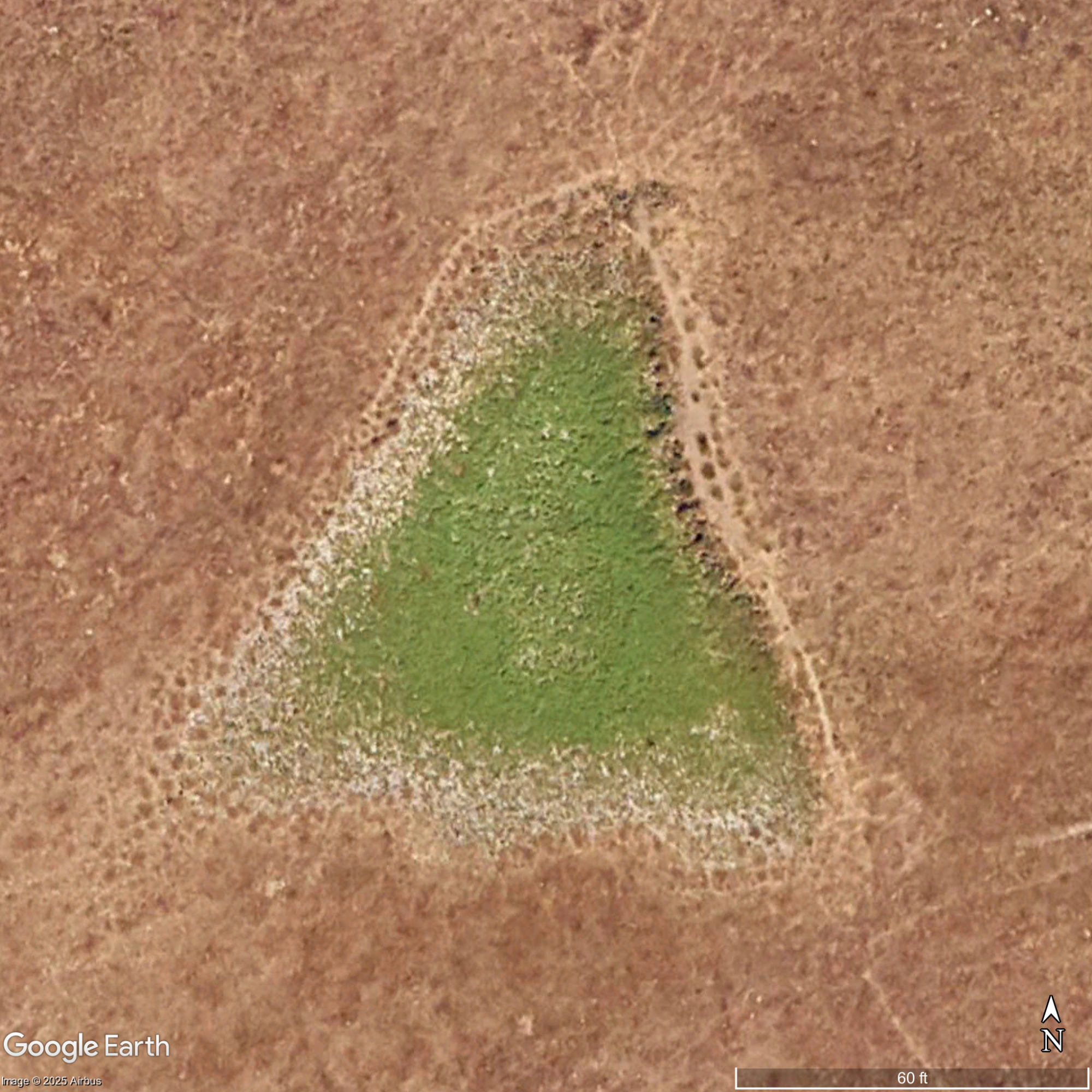 Close aerial image of the triangular ground feature near the decoded location.