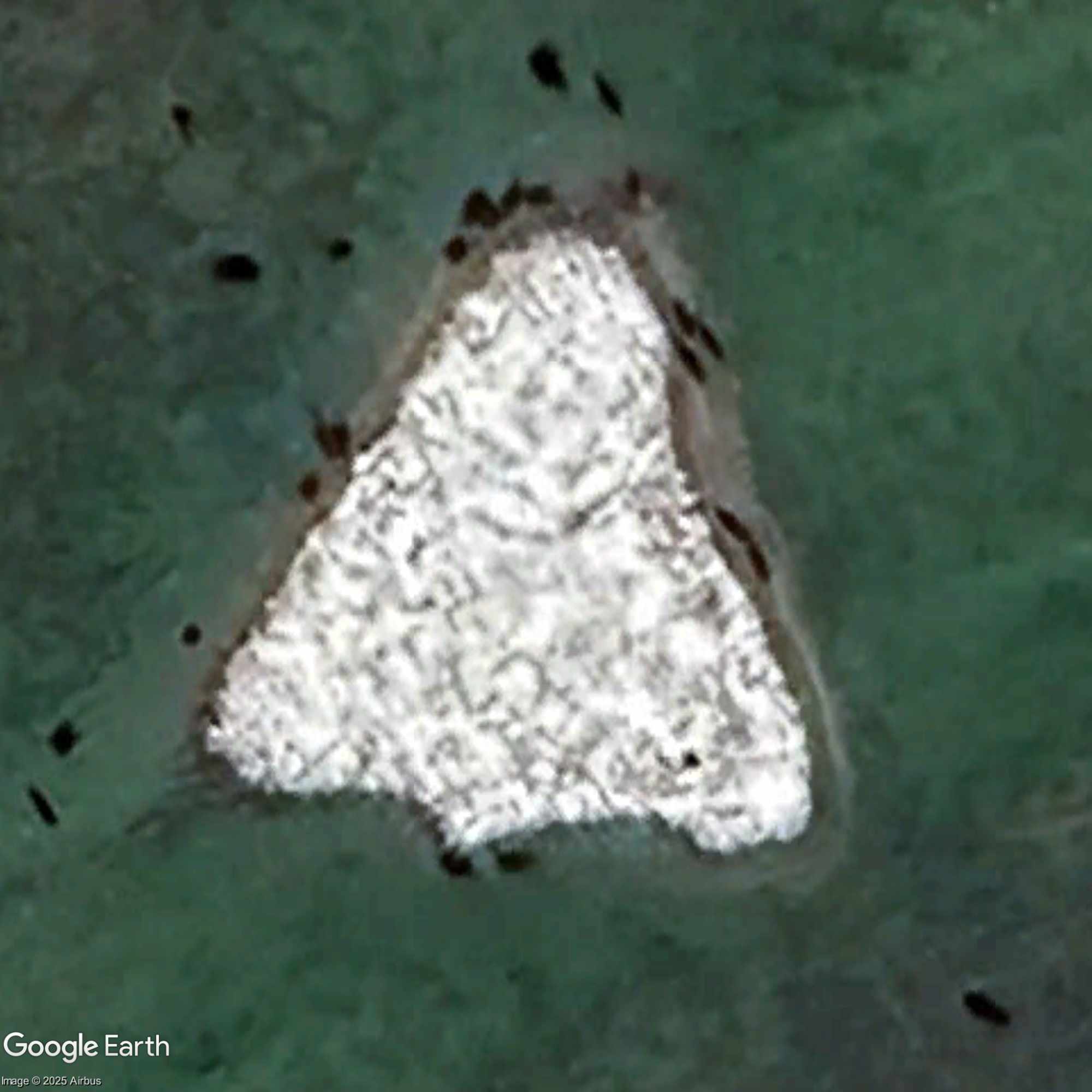 Water- or moisture-emphasized image of the triangular ground feature.